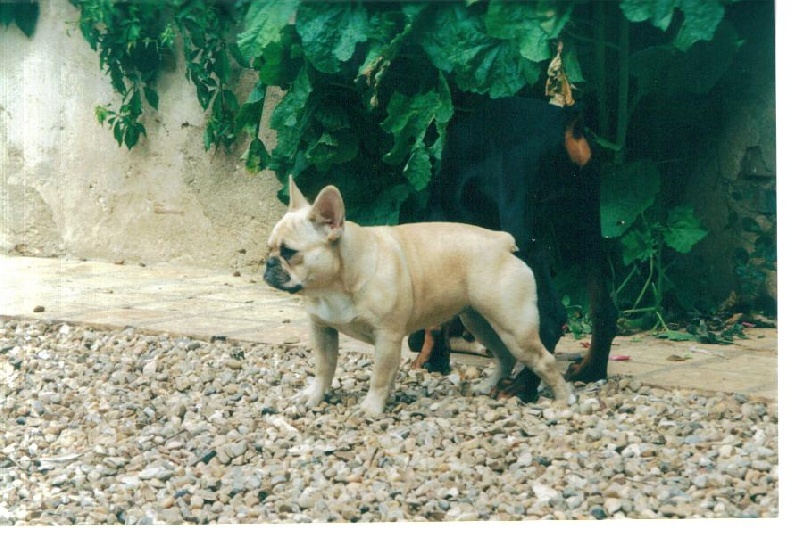 Solange De la vallée de pissevin